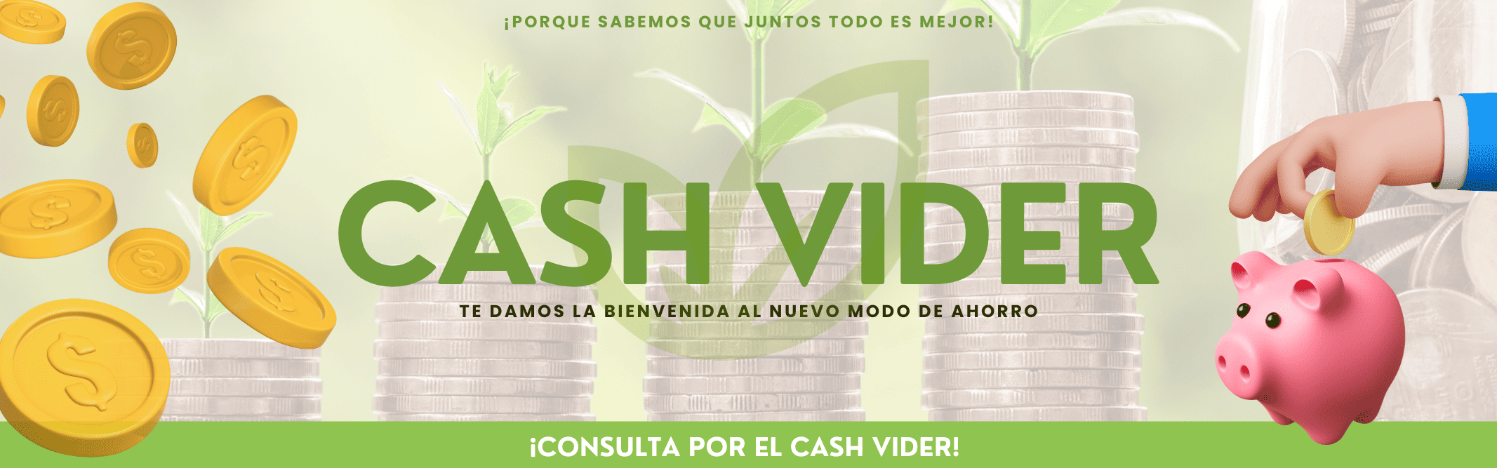 CASH VIDER